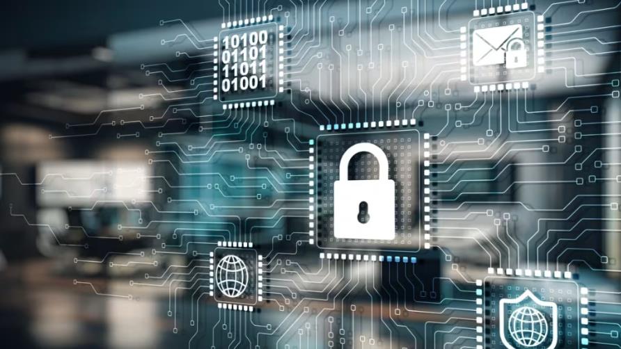 企业网站定制